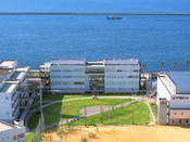 日本留學