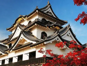 日本留學(xué)