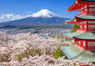 日本留學