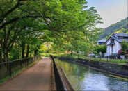 日本留学