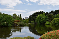 芥末留學(xué)