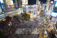 日本留学
