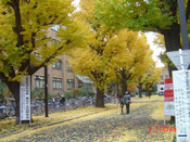 日本留學(xué)