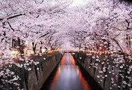 日本留學