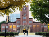 日本大學(xué)排名