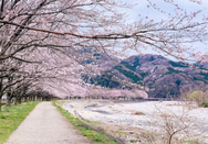 日本大学院