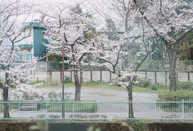 日本考研