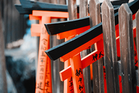日本留学