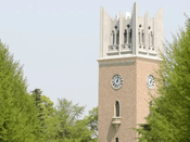 早稻田大學