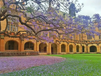 悉尼大学