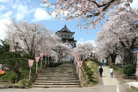 日本留學(xué)
