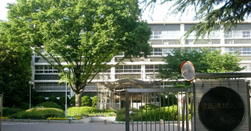 日本留学