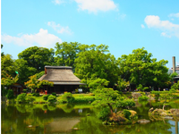 日本会计学专业