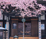芥末留學(xué)