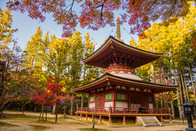 日本留學