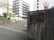 芥末留學