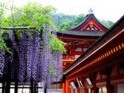 日本留學(xué)