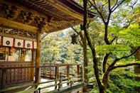芥末留学