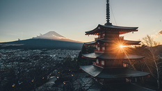 日本留学