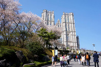 慶熙大學