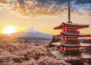 日本留學