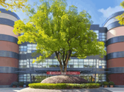 新加坡大學