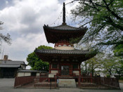 日本留學(xué)