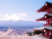 芥末留學
