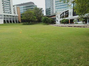 新加坡留學(xué)