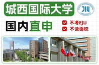城西国际大学