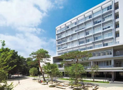 日本大學(xué)