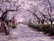 韓國(guó)留學(xué)名校