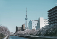 日本留學