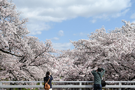 日本留学