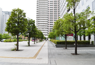芥末留学