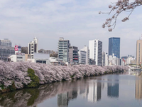 2027年日本语言学校申请攻略