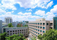 芥末留学