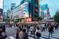 日本留学