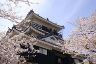 芥末留學