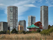 日本留学