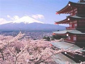 芥末留學