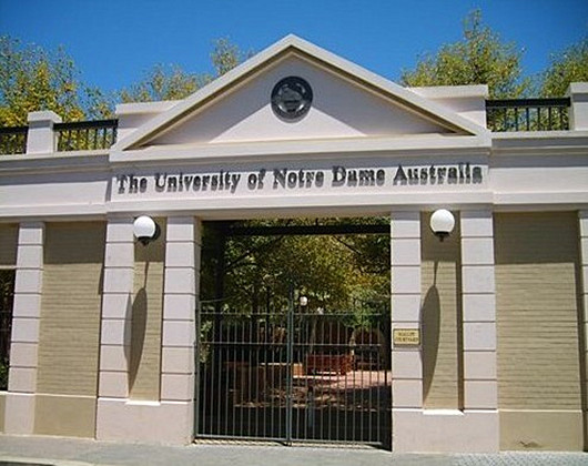 圣母大学