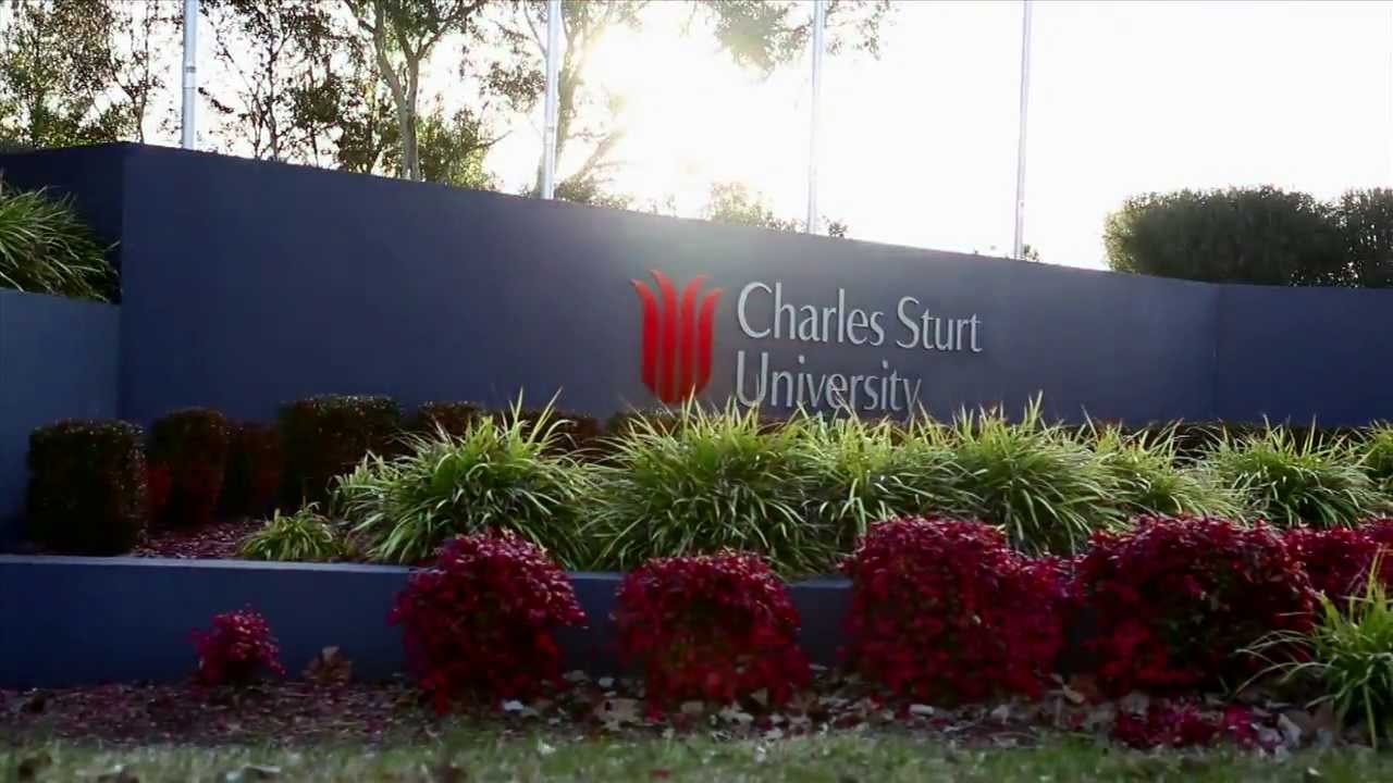 查爾斯特大學