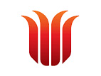 查爾斯特大學(xué)